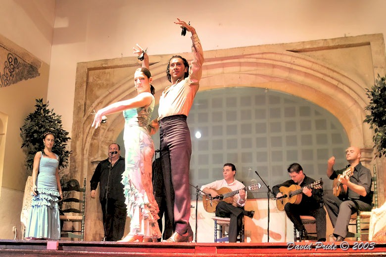 Cardenal Flamenco